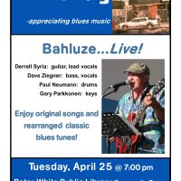Gallery 1 - Bluesday Tuesday: Bahluze