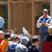 Gallery 3 - Chocolay Raptor Center Open House and Fundraiser