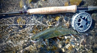 Trout Unlimited Monthly Board Meeting
