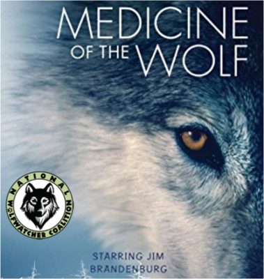 Wolf Awareness--Medicine of the Wolf