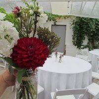 Gallery 1 - Flower Works, LLC: The Greenhouse