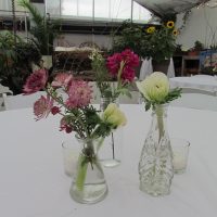 Gallery 2 - Flower Works, LLC: The Greenhouse