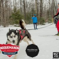 Gallery 4 - Noquemanon Ski Marathon