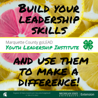 Marquette County goLEAD Youth Leadership Institute