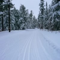 Noquemanon Winter Trail Expo