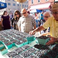 Downtown Marquette Blueberry Festival