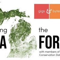 Gigs & Bytes (Online) - Exploring the Data Forest