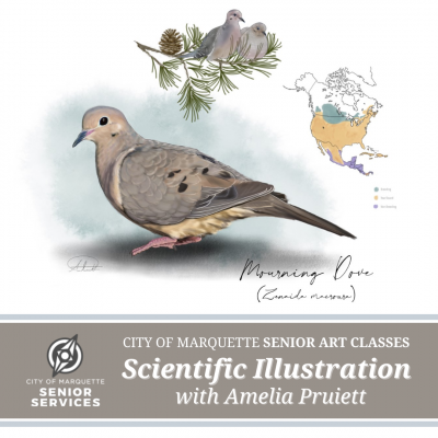 Senior Arts: Scientific Illustration with Amelia Pruiett