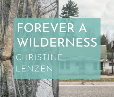 Deo Gallery's June Artist Reception - Forever A Wilderness