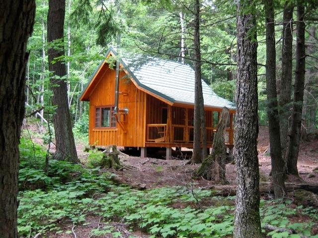 Small Cedar Cabin in the woods
