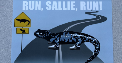 Science on Tap: Run, Sallie, Run!