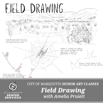 Senior Arts: Field Drawing w/ Amelia Pruiett