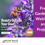 “Beauty Outside Your Door” WEBINAR: Under-Appreciated Pollinators