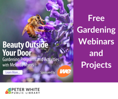 “Beauty Outside Your Door” WEBINAR: Under-Appreciated Pollinators
